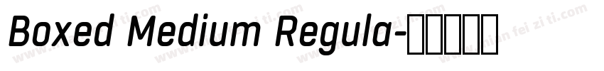 Boxed Medium Regula字体转换
